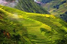 Sa Pa Vietnam: Guida di Viaggio 2026 e Consigli Locali