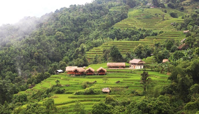 bac-ha