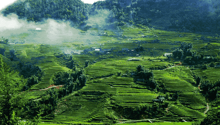 mai-chau
