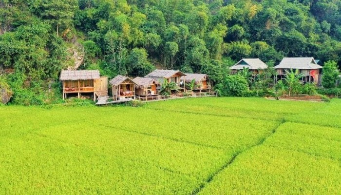 mai-chau
