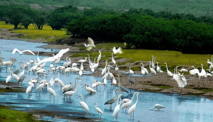 parco-nazionale-di-xuan-thuy