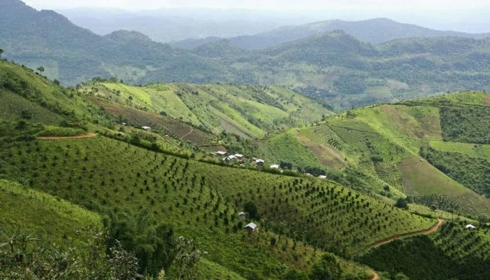 trekking-between-kalaw-and-inle-lake-myanmar
