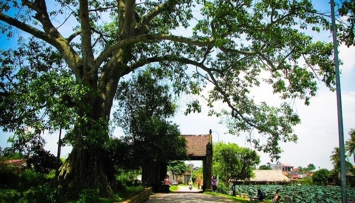 villaggio-di-duong-lam